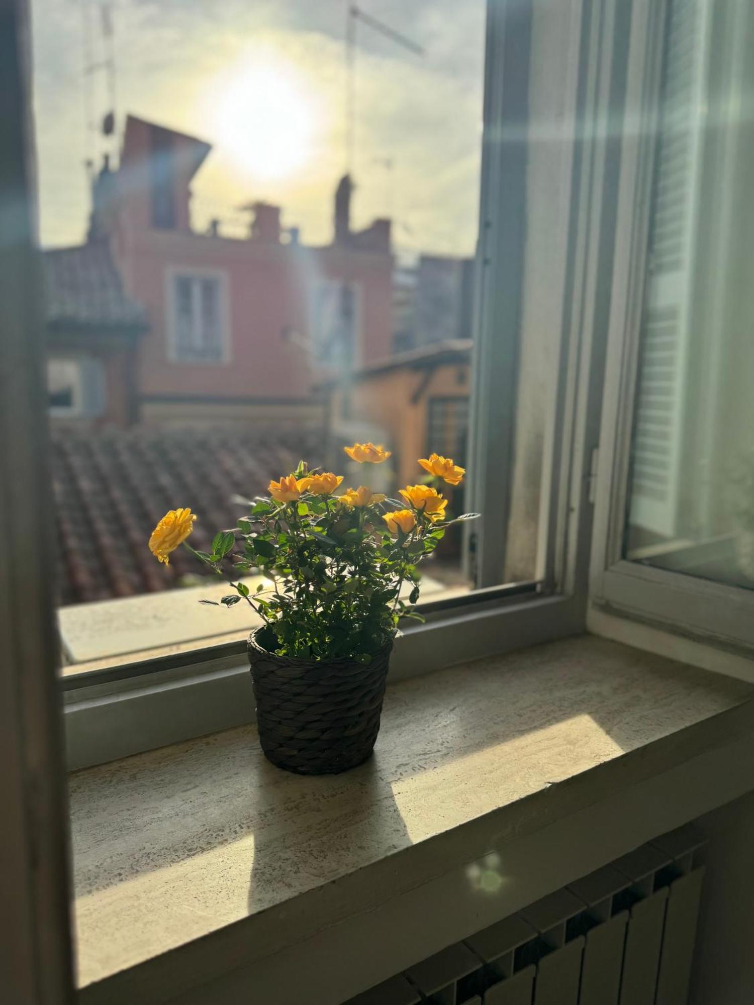 Labanca'S Luxury Navona Villa Roma Eksteriør bilde
