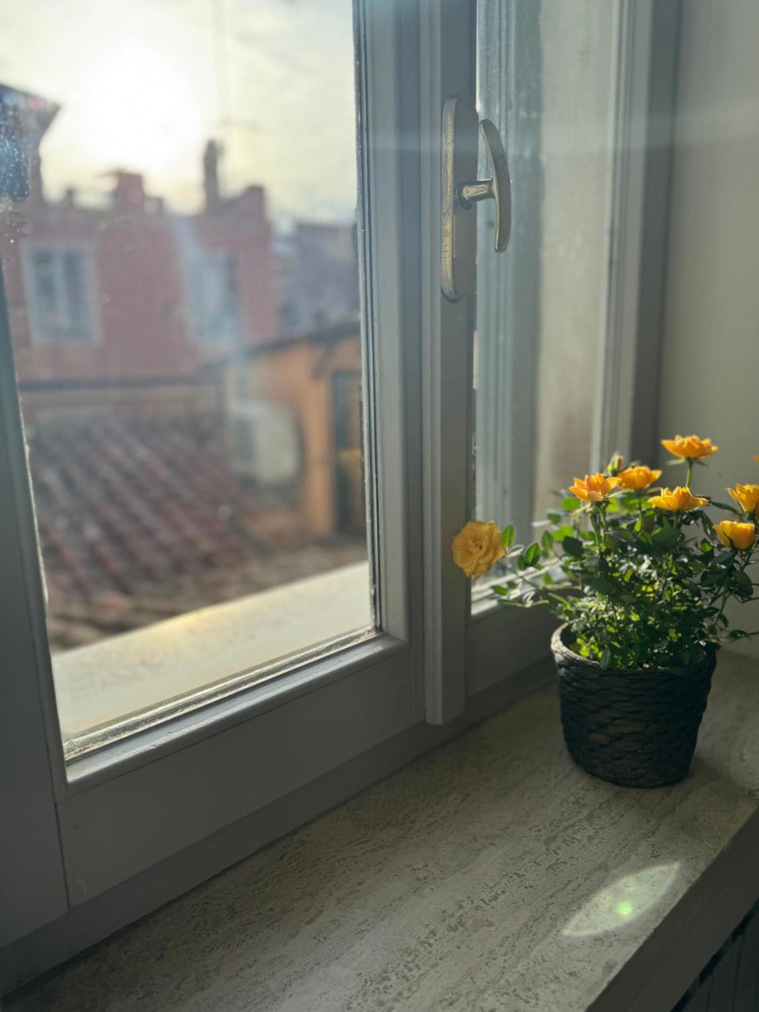 Labanca'S Luxury Navona Villa Roma Eksteriør bilde